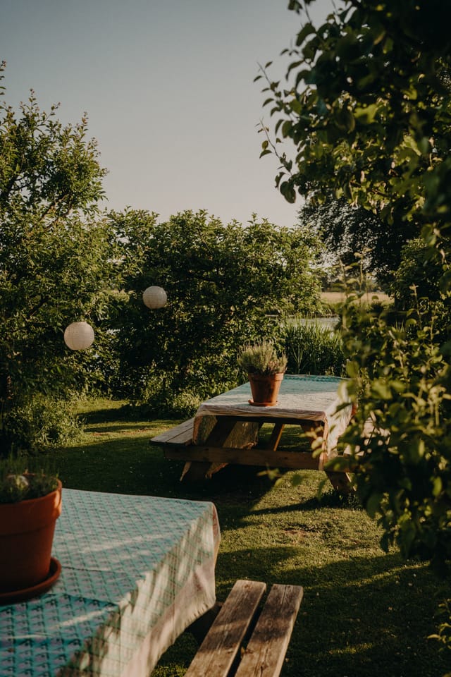 Tuin met picknicktafel, lampionnen en lavendel