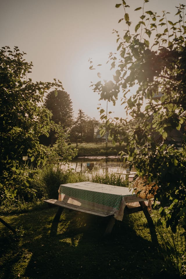 Tuin met vijver in gouden uurlicht